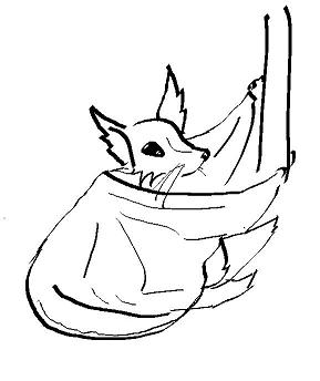 HarborBat.JPG